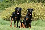 BEAUCERON 920